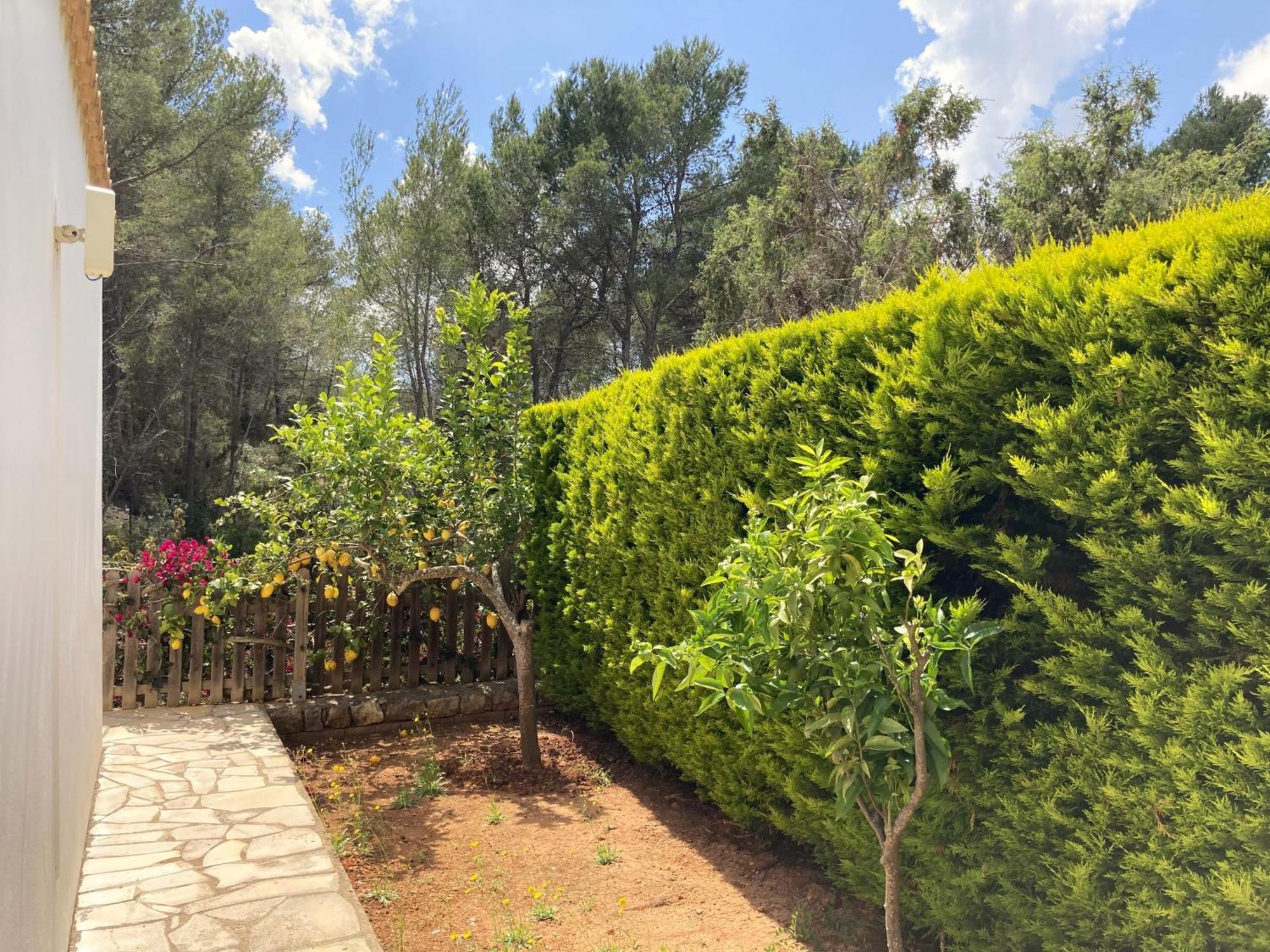 Apartamentos Pinosol Santa Eulària des Riu Chambre photo
